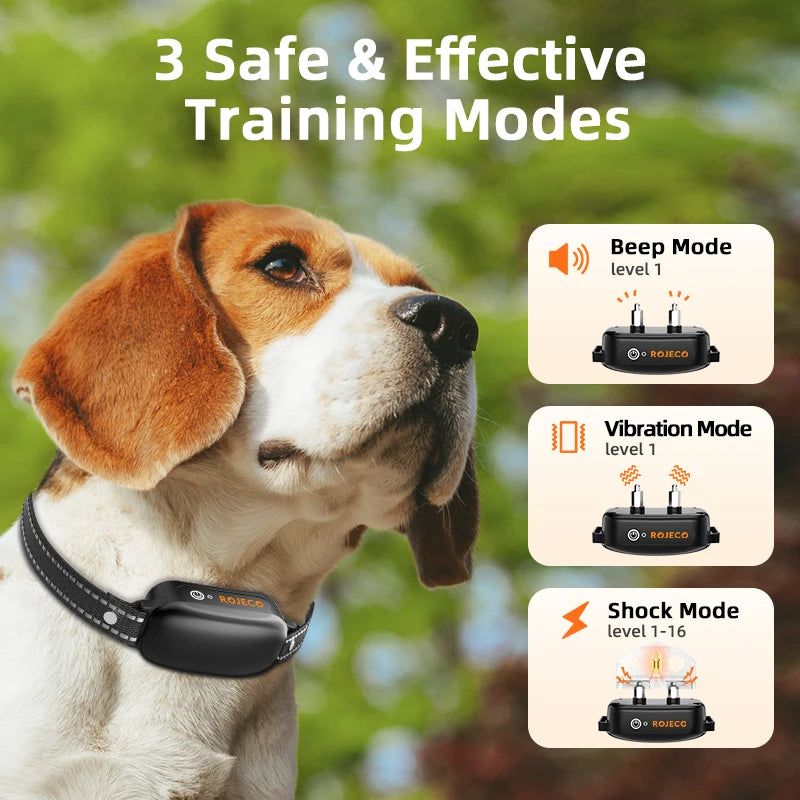 ROJECO SafeTrain - The Modern Approach to Dog Training