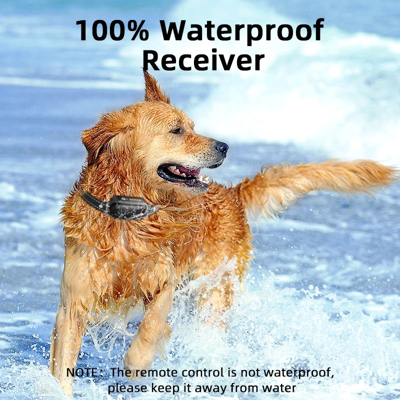 ROJECO SafeTrain - The Modern Approach to Dog Training