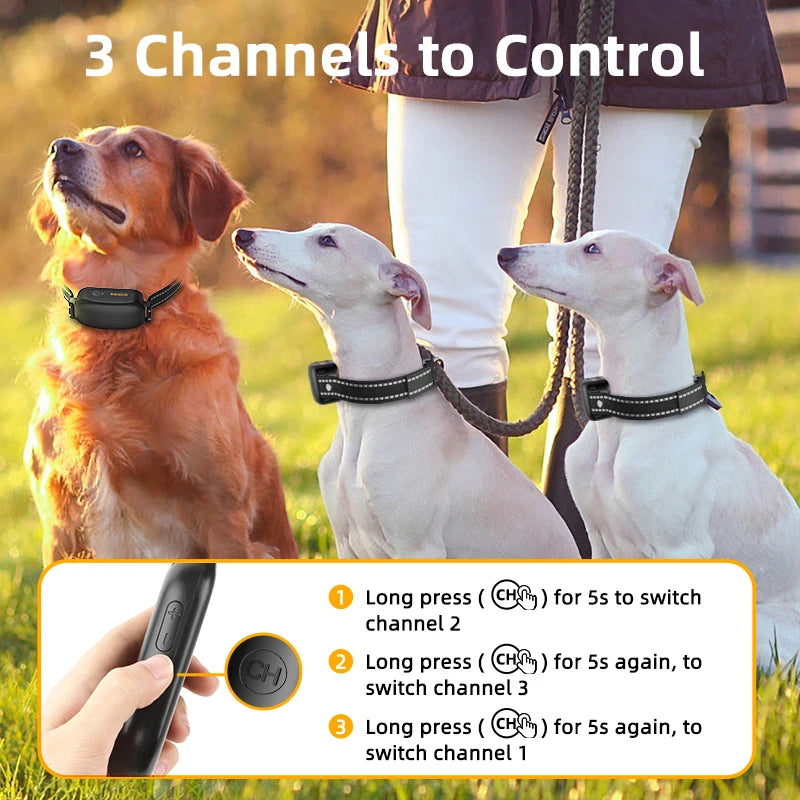 ROJECO SafeTrain - The Modern Approach to Dog Training