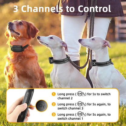 ROJECO SafeTrain - The Modern Approach to Dog Training