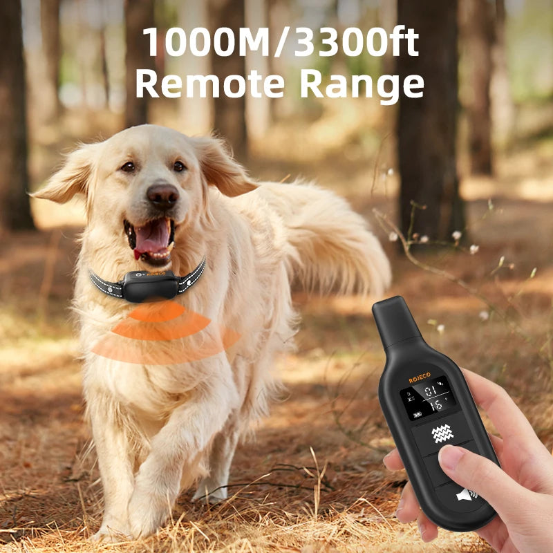 ROJECO SafeTrain - The Modern Approach to Dog Training